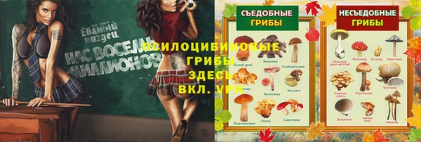 соль курить ск Алексеевка