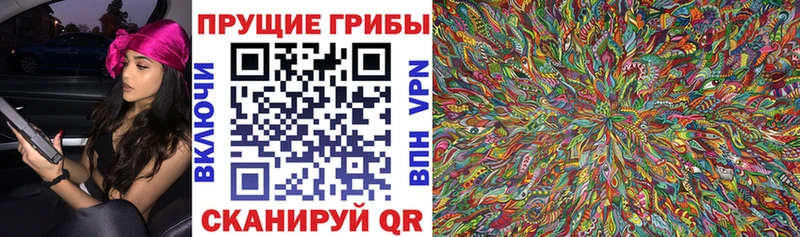 omg вход  Гдов  Псилоцибиновые грибы Psilocybe  купить закладку 